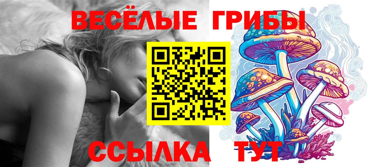 Галлюциногенные грибы прущие грибы Красноармейск
